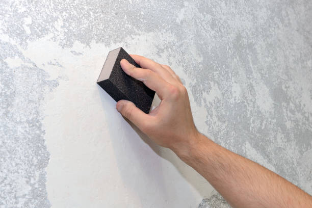 Best Airborne Mold Testing  in Stockton, KS