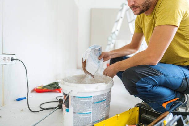 Best Black Mold Removal  in Stockton, KS