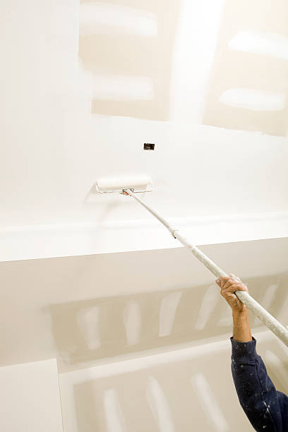 Best Industrial Mold Remediation  in Stockton, KS