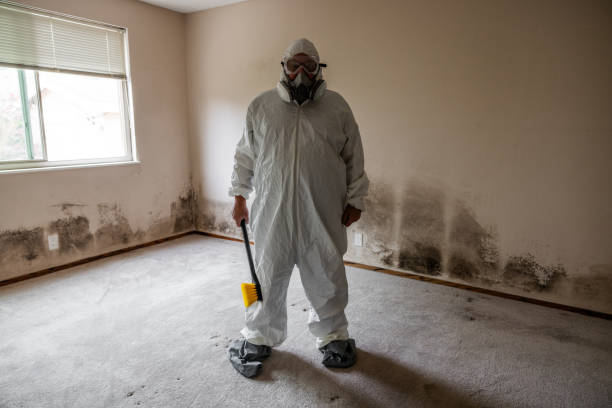 Best Mold Remediation for Healthcare Facilities  in Stockton, KS